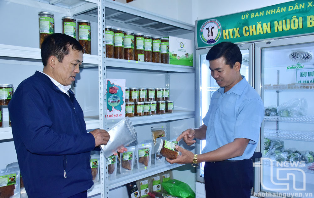 Bước chuyển trong sản xuất nông nghiệp ở Nga My