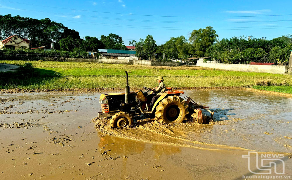 Mong chờ mùa vụ bội thu