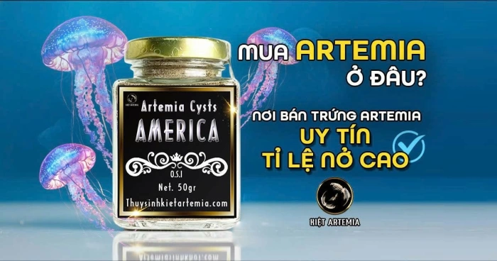 Mua Artemia ở đâu? Nơi bán trứng Artemia uy tín
