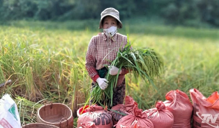 Gần lắm Bằng Vân