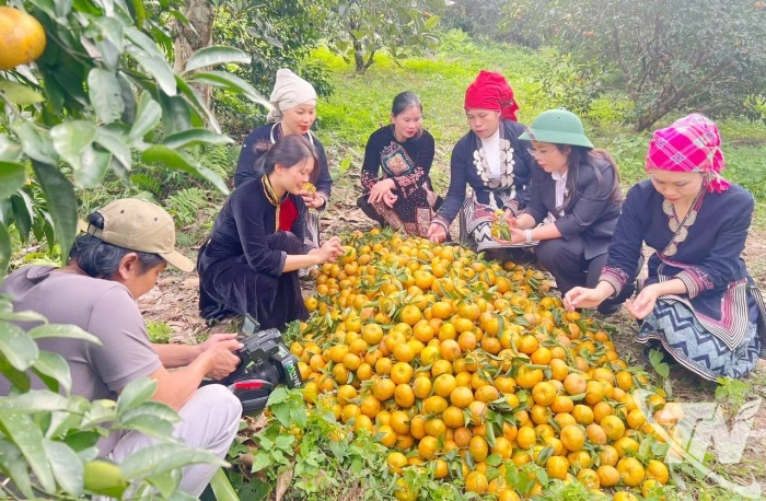 Sức sống mới ở những vùng quê sau sáp nhập