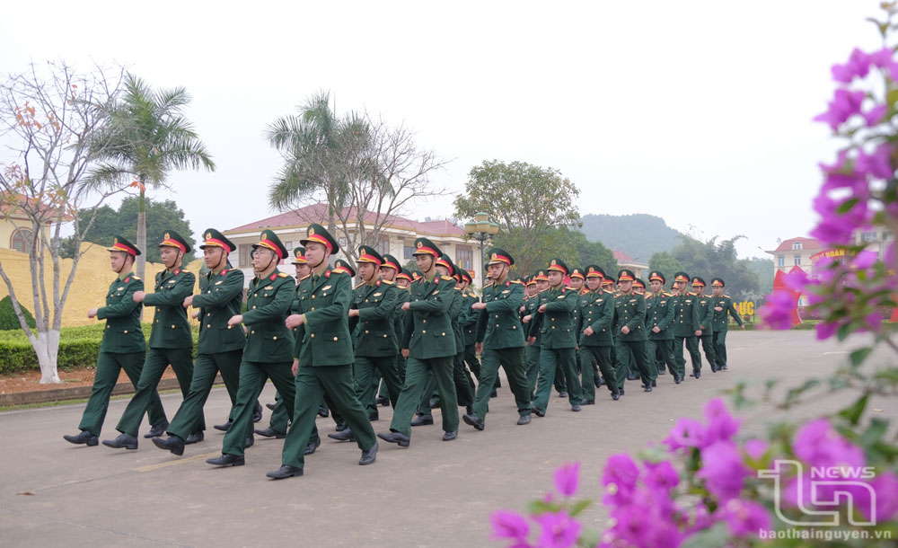 Sư đoàn Bộ binh chủ lực sẵn sàng nhận quân
