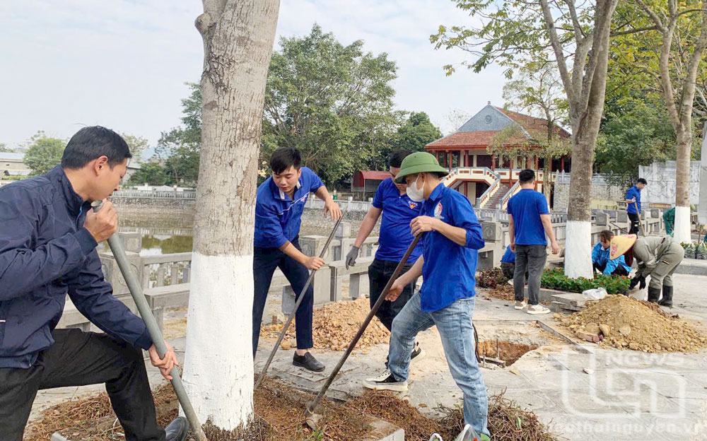 Giữ nét đẹp của Tết trồng cây