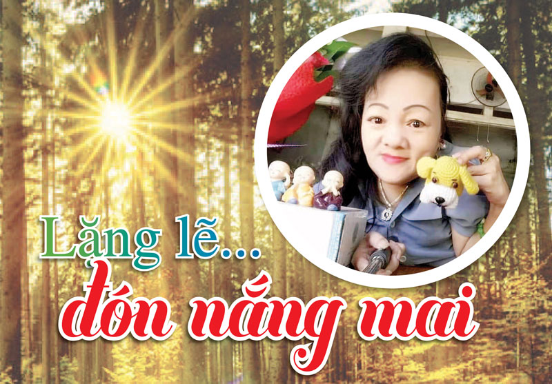 Lặng lẽ... đón nắng mai