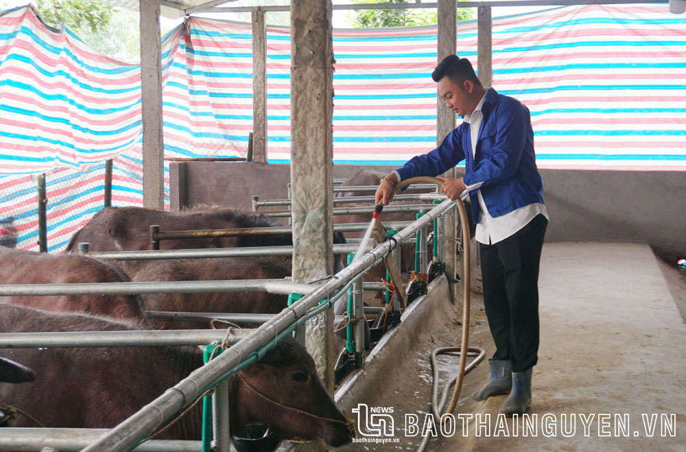 Triển khai tốt các chương trình đồng hành với thanh niên