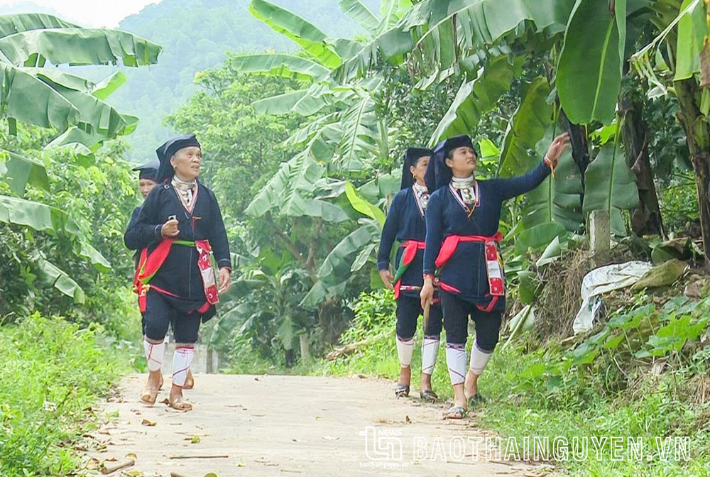 Bàn Thị Hằng - gương sáng của đồng bào dân tộc Dao