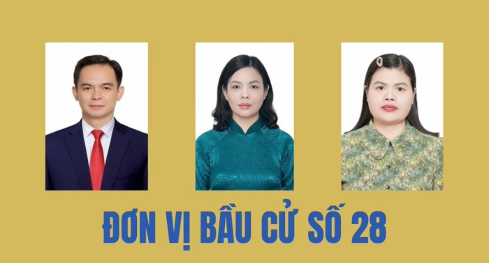 Tiểu sử tóm tắt của người ứng cử đại biểu HĐND tỉnh Thái Nguyên nhiệm kỳ 2026-2031 (Đơn vị bầu cử số 28)