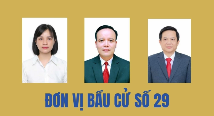 Tiểu sử tóm tắt của người ứng cử đại biểu HĐND tỉnh Thái Nguyên nhiệm kỳ 2026-2031 (Đơn vị bầu cử số 29)
