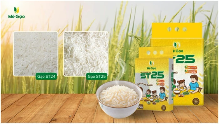 So sánh gạo ST25 và ST24: Loại nào phù hợp với khẩu vị gia đình bạn?