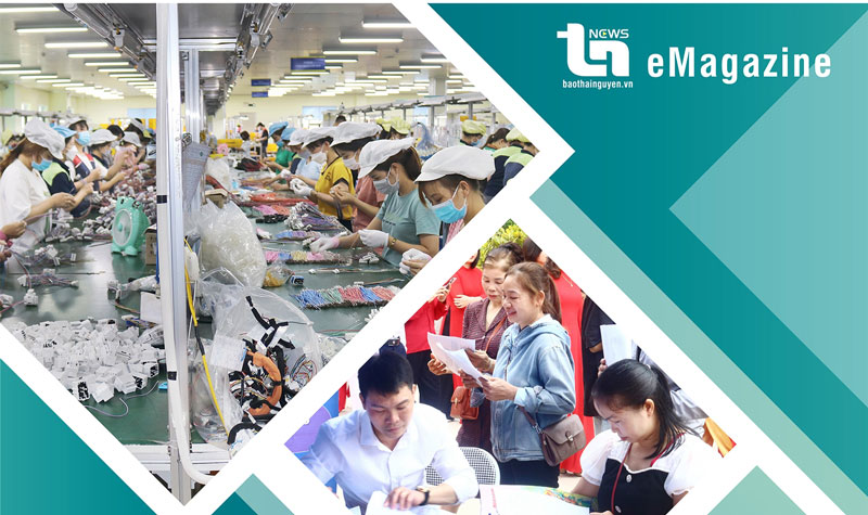 Người lao động không lo thiếu việc