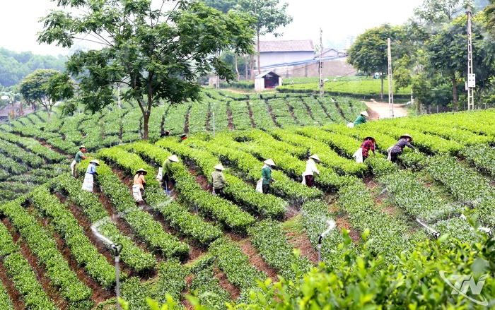 Chuyển đổi số - Động lực bứt phá trong kỷ nguyên số
