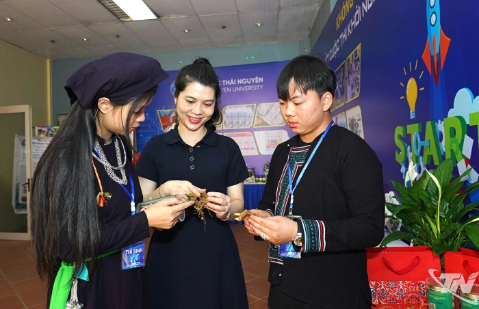 10 dự án vào chung kết Cuộc thi Khởi nghiệp sinh viên Đại học Thái Nguyên năm 2026