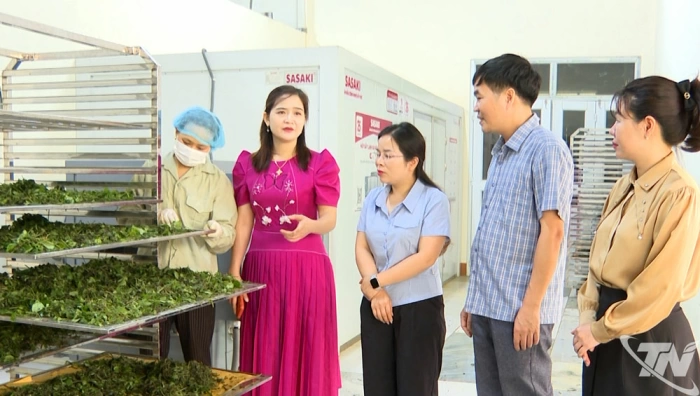 Tạo chuỗi giá trị từ liên kết bền chặt