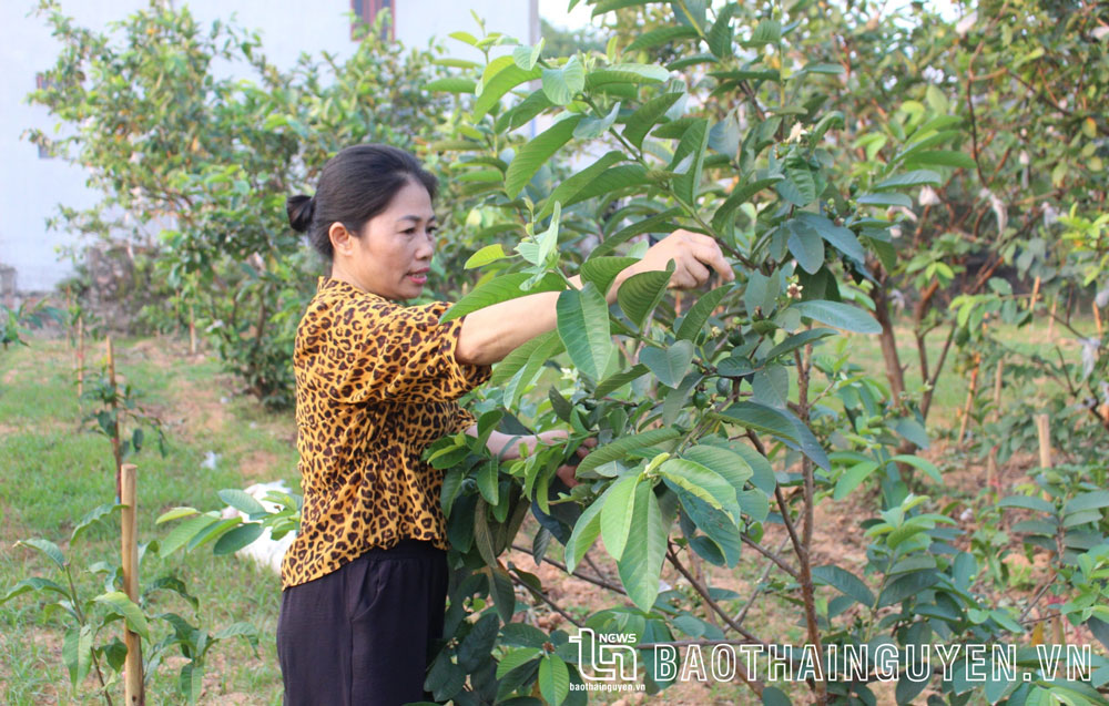 Giám sát Chương trình giảm nghèo bền vững tại TP. Thái Nguyên