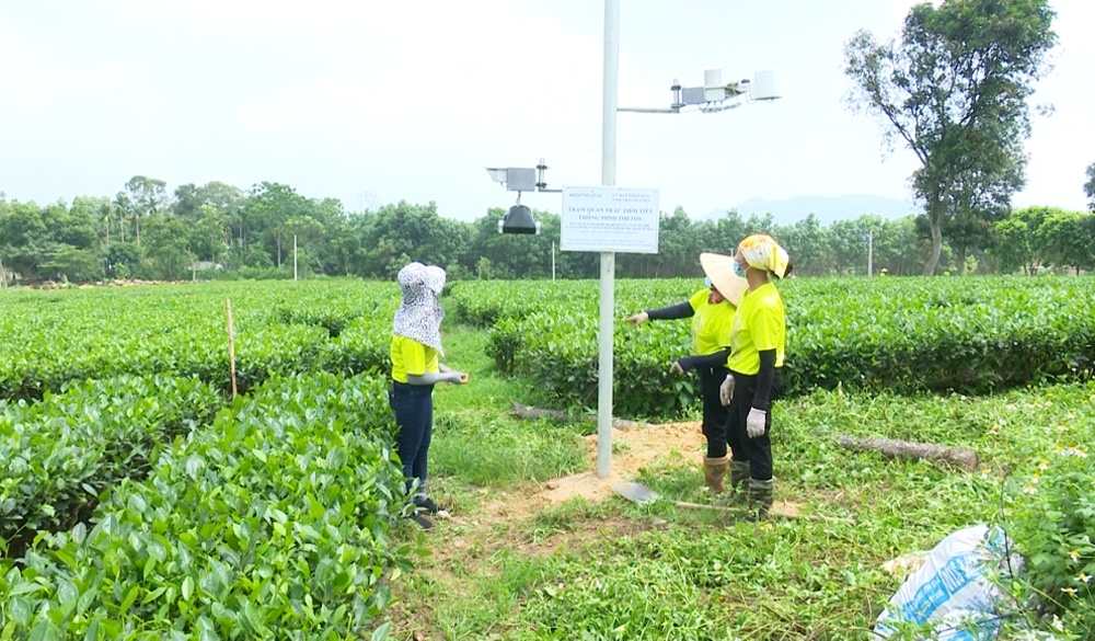 Ứng dụng phần mềm quản lý chất lượng nông sản