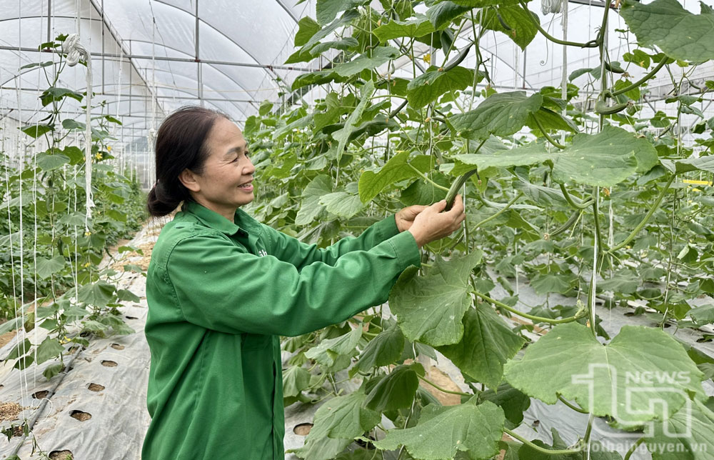 TP. Sông Công: Phấn đấu giảm tỷ lệ hộ nghèo còn 1,22%