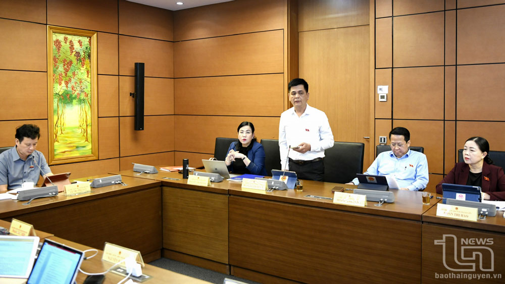 Kỳ họp thứ 9, Quốc hội khóa XV: Thảo luận tổ về các dự thảo nghị quyết, dự án luật