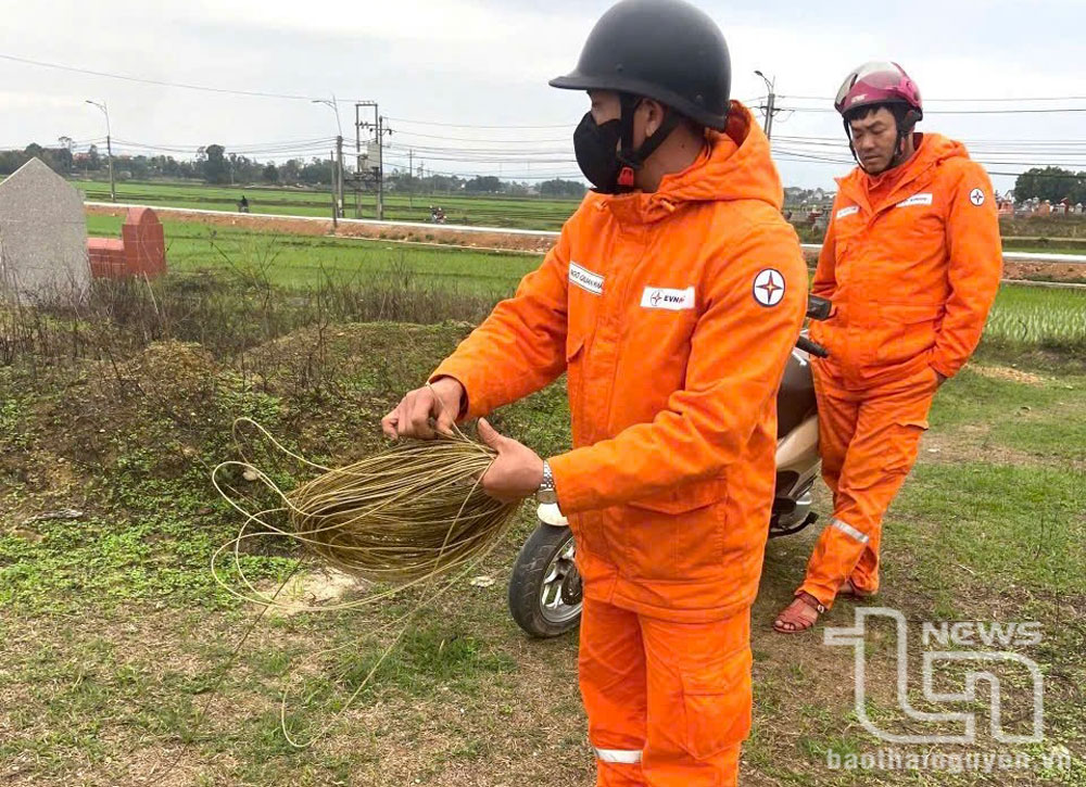 Hiểm họa từ thú chơi thả diều