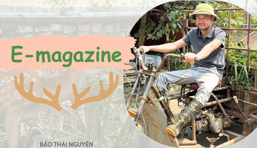 Nuôi hươu lấy nhung - Hành trình vượt dốc của 'Kiên phụ hồ'