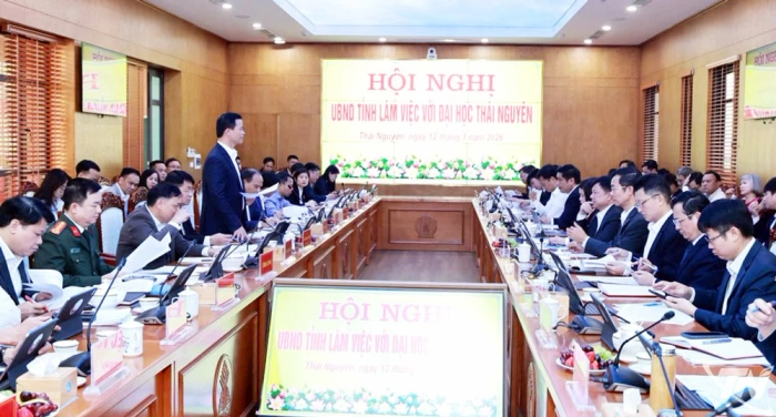Kết nối tri thức, thúc đẩy phát triển bền vững