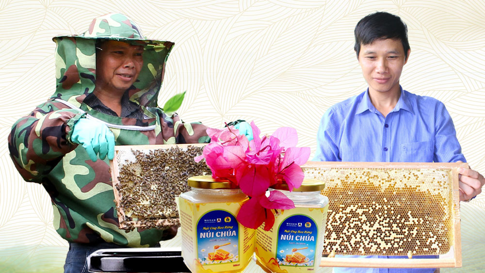 Mùa quay mật dưới chân núi Chúa