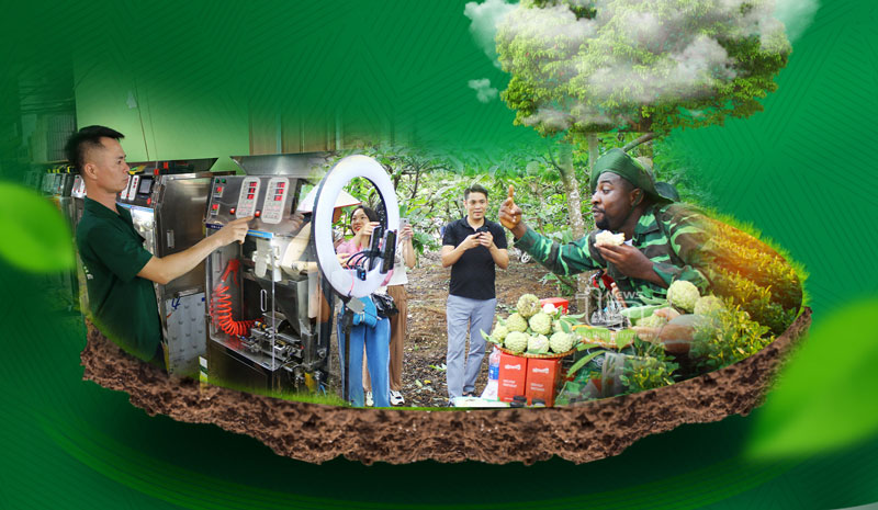 Số hóa nông nghiệp: Kinh tế tập thể không đứng ngoài cuộc