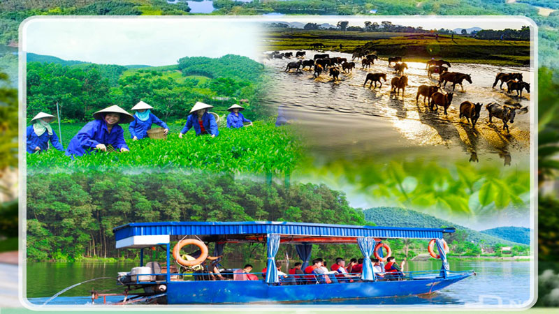 Bình Sơn - Bản hòa ca của đồng cỏ, đồi chè và sóng nước mênh mang