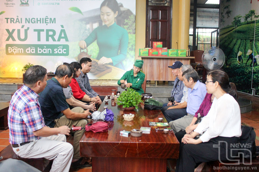 Tổ chức đi thực tế phục vụ sáng tác Cuộc thi 'Trăm năm đệ nhất danh Trà'