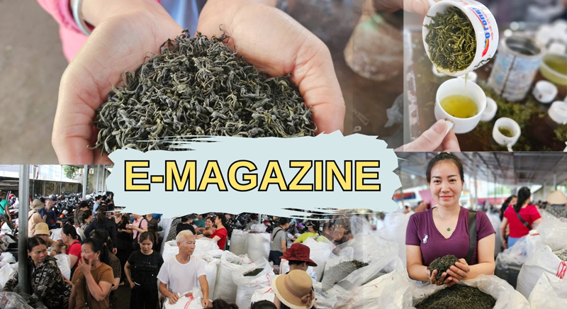 Tinh hoa chợ chè Thái Nguyên