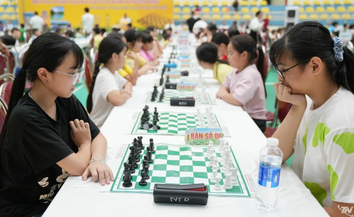 512 kỳ thủ tranh tài thi đấu môn Cờ vua, Cờ tướng