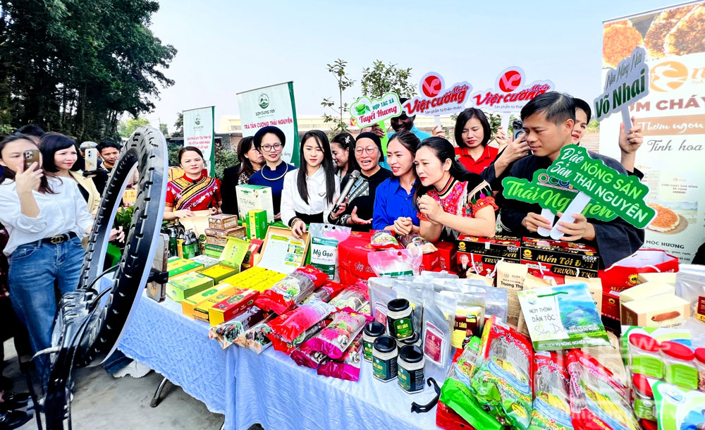 Hỗ trợ doanh nghiệp, hợp tác xã “số hóa”