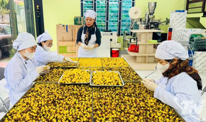 Sản phẩm OCOP: Nâng tầm giá trị truyền thống