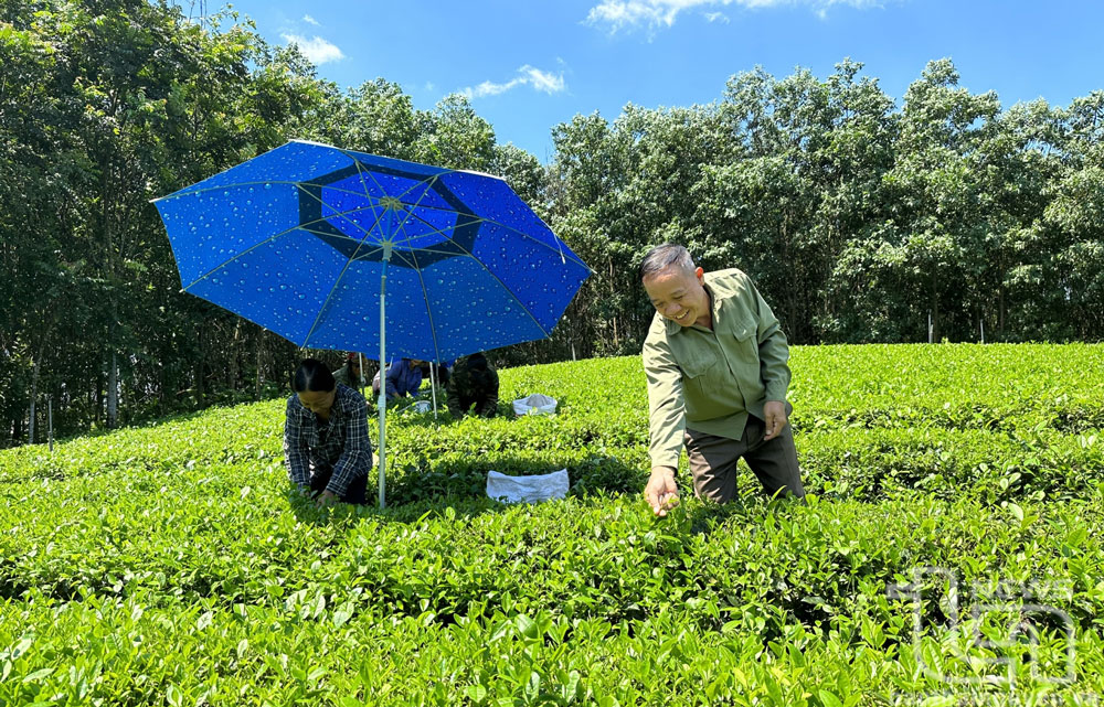 Tăng trưởng dư nợ tín dụng hoàn thành trước kế hoạch 4 tháng