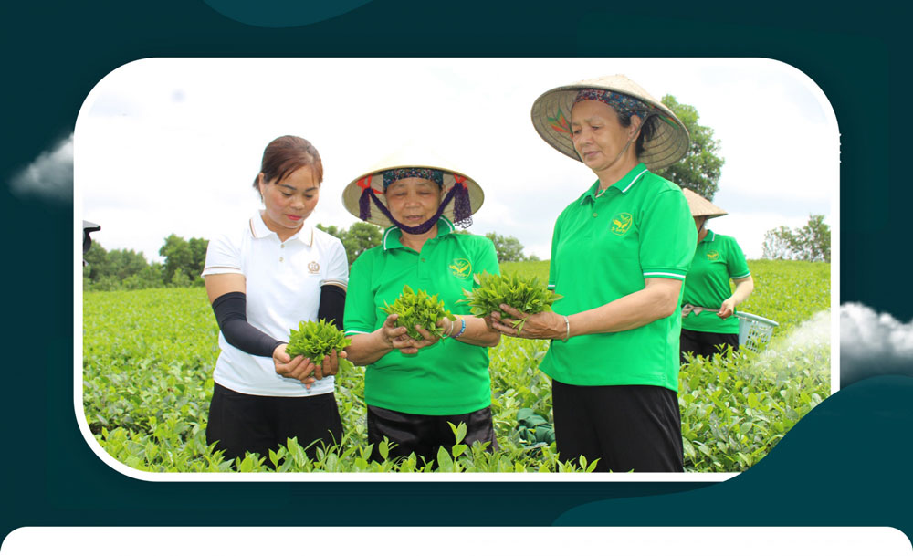 Phụ nữ Phổ Yên thực hành tiết kiệm theo gương Bác