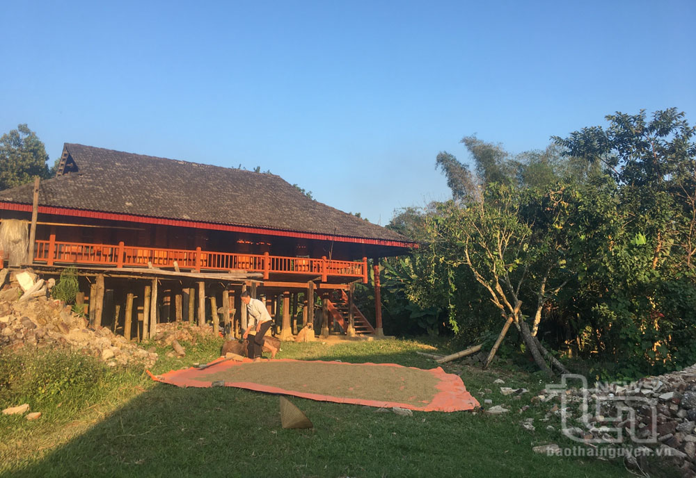 Chính sách đất đai dành cho người dân tộc thiểu số: Hiệu quả, thiết thực