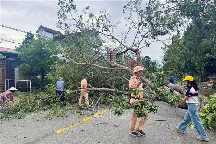 Không chủ quan trước bão số 10