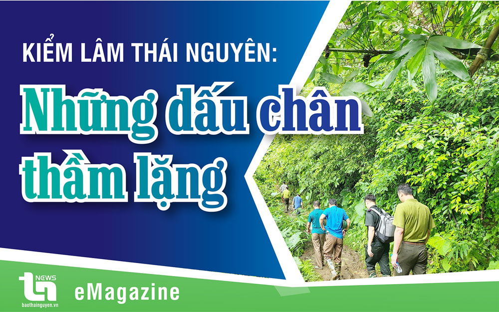 Kiểm lâm Thái Nguyên: Những dấu chân thầm lặng