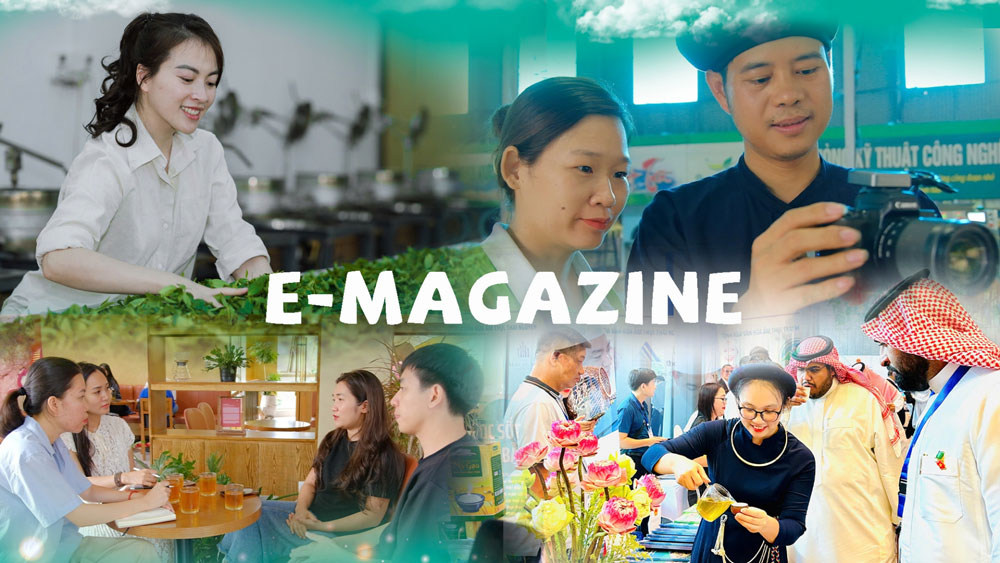 Khi người trẻ mơ những giấc mơ khác (kỳ 1): Khát vọng trà Thái