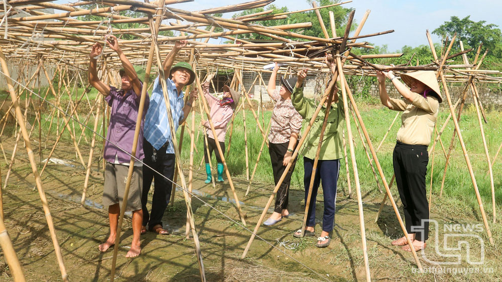 Thái Nguyên: Thành lập mới 34 hợp tác xã nông nghiệp