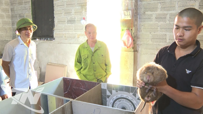 Tăng cường quản lý hoạt động gây nuôi động vật hoang dã