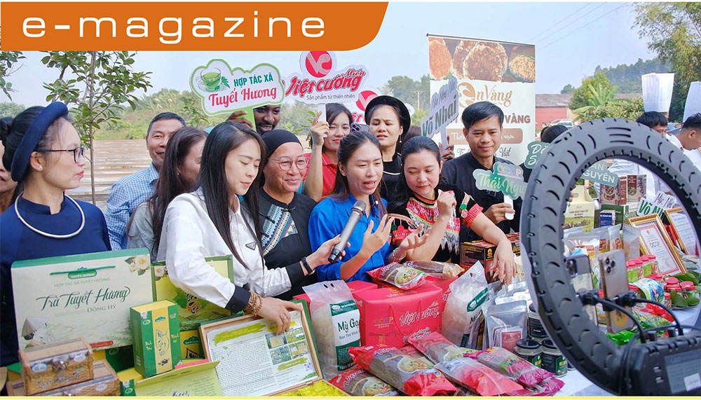 Thương mại điện tử: Cuộc đua vào hệ sinh thái mới - (kỳ 1) Bức tranh đa sắc màu