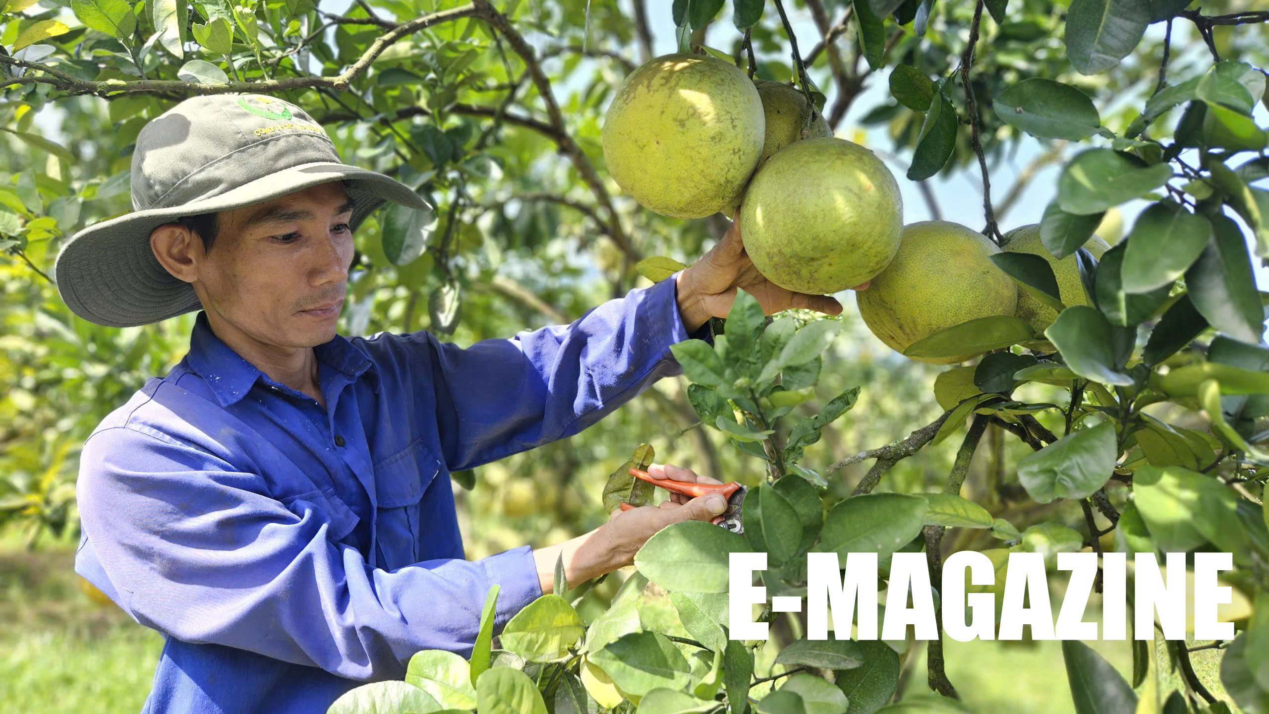 Về miền “đất hứa” Quân Chu