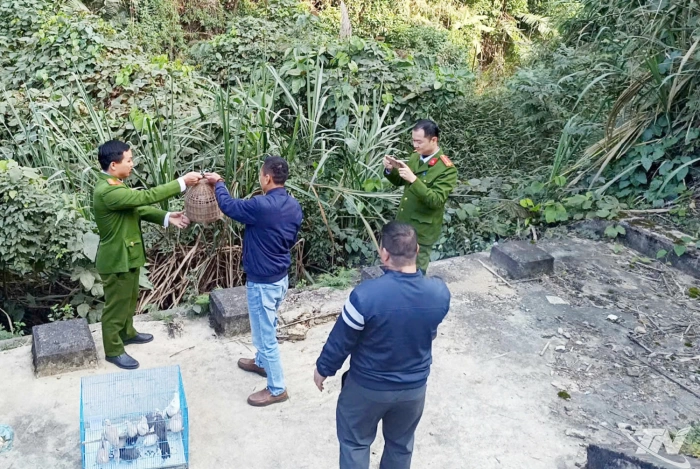 Công an phường Bắc Kạn: Thả 12 cá thể chim hoang dã về môi trường tự nhiên