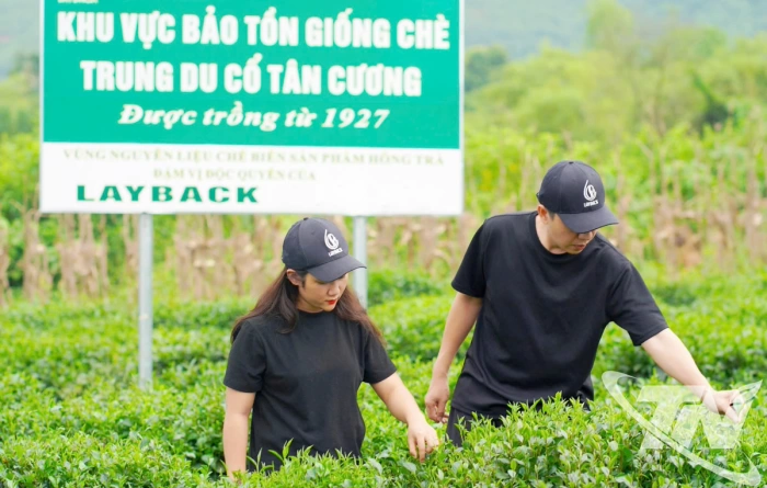 Kinh tế sáng tạo thắp lửa cho làng nghề