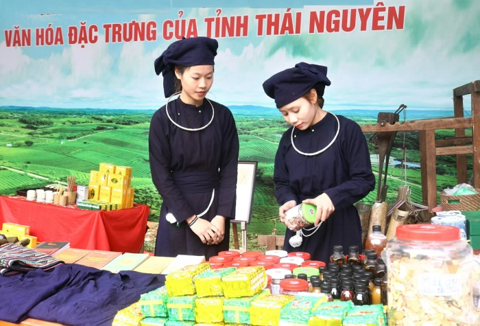 Giữ 'hồn' trà Tân Cương qua những thế hệ