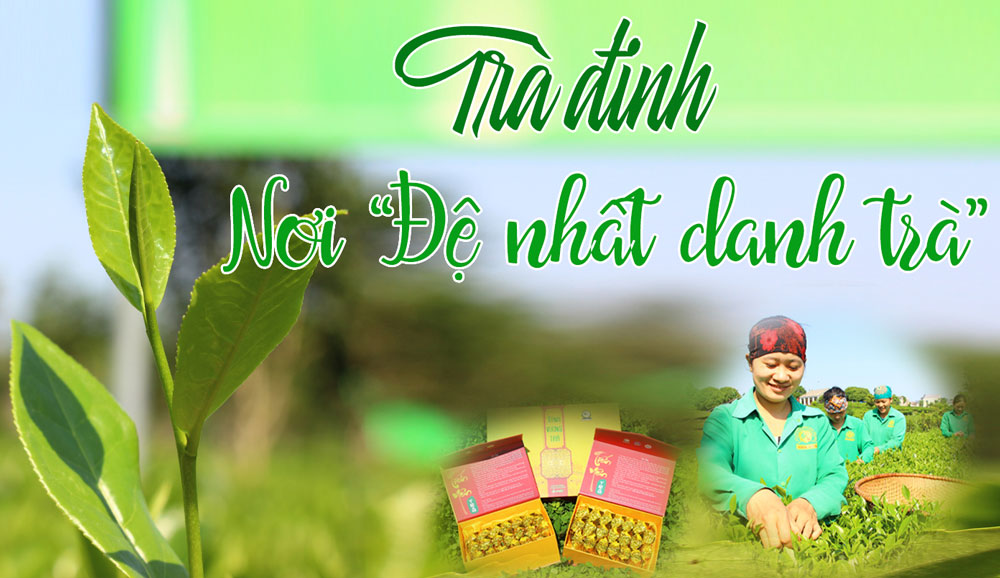 Trà đinh nơi "Đệ nhất danh trà"