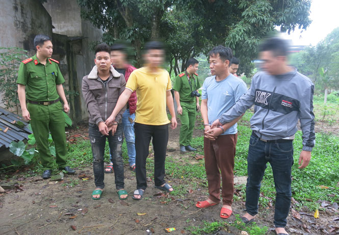 Cảnh giác với nạn trộm trâu