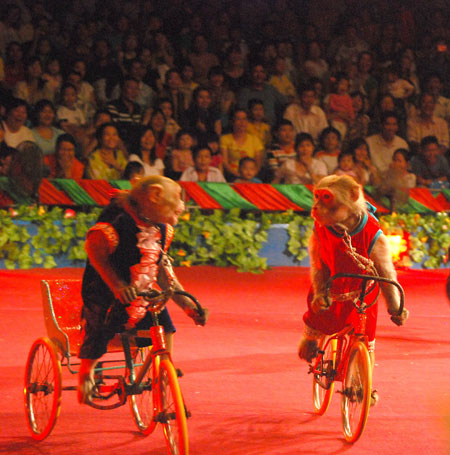 “Nàng tiên cá” mừng ngày Quốc tế thiếu nhi