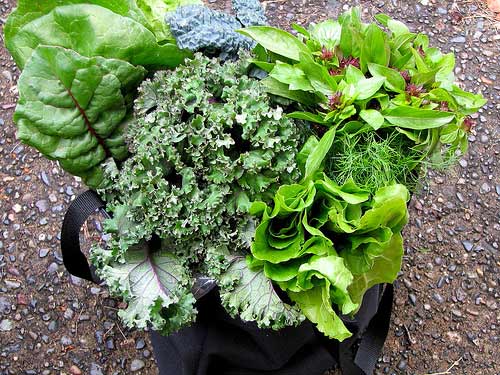 10 đồ ăn dễ gây bệnh nhất