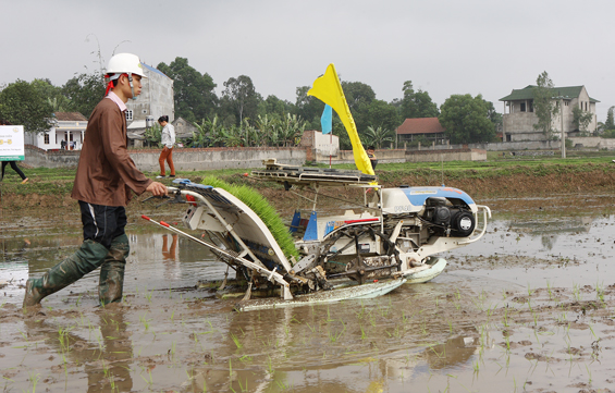 Tổng kết mô hình mạ khay, máy cấy